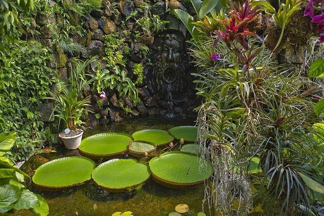 Sorrento to Ischia and Procida: Small Group Boat Tour - Final Thoughts