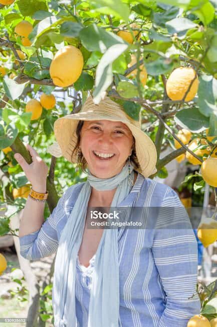 Sorrento Walking Tour: the flavors and scents of lemons - Exploring the Citrus Grove in Sorrento