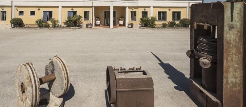 Sortino: Olive Oil tasting with Sicilian Products and Wine - In The Sum Up