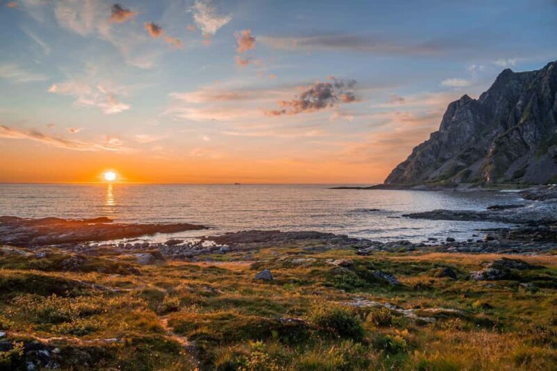 Sortland: Andøya Scenic Route & Wildlife Tour - The Experience in Detail
