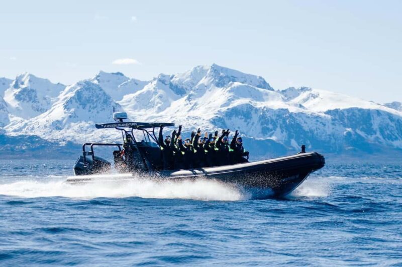 Sortland: Fjord and Sea Eagle Safari by RIB Boat - What Travelers Say