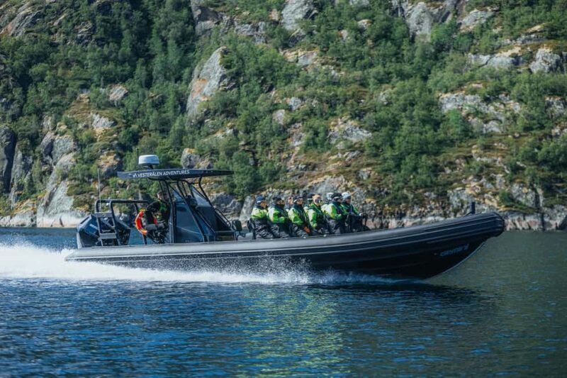 Sortland: Fjord and Sea Eagle Safari by RIB Boat - Who Should Consider This Tour?
