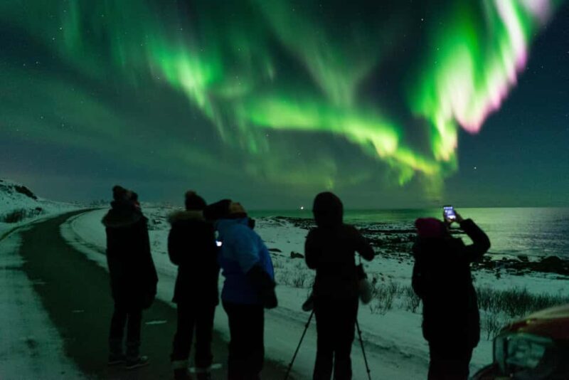 Sortland: Small Group Northern Lights Chase by Car - The Experience in Detail