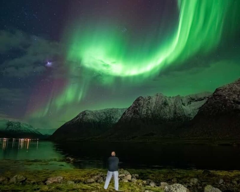 Sortland: Small Group Northern Lights Chase by Car - Who Should Consider This Tour?
