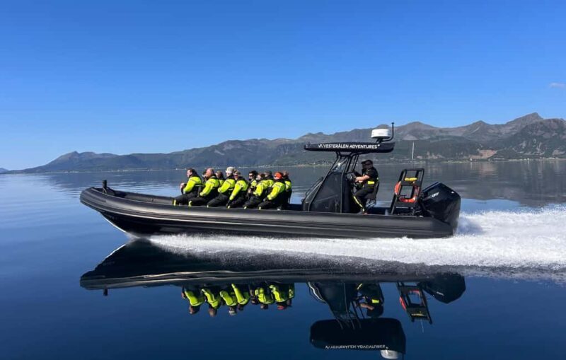 Sortland: Trollfjord RIB Boat Tour - Who Will Love This Tour?