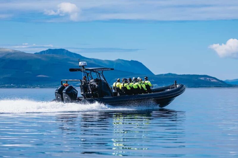 Sortland: Trollfjord RIB Boat Tour - Frequently Asked Questions