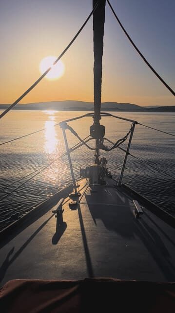 Sotogrande: Dolphin Watching Boat Trip with Drink - Conclusions: Who Will Love This Experience?