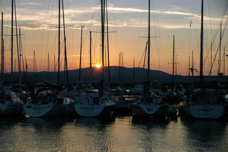 Sotogrande: Sea Sunset Experience - Marine Life and Dolphin Watching