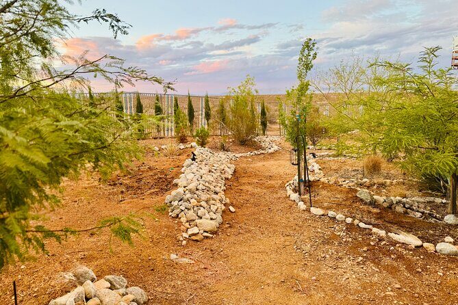 Soul Reconnection Retreat in Joshua Tree - Practical Aspects: Pricing, Group Size, and Logistics