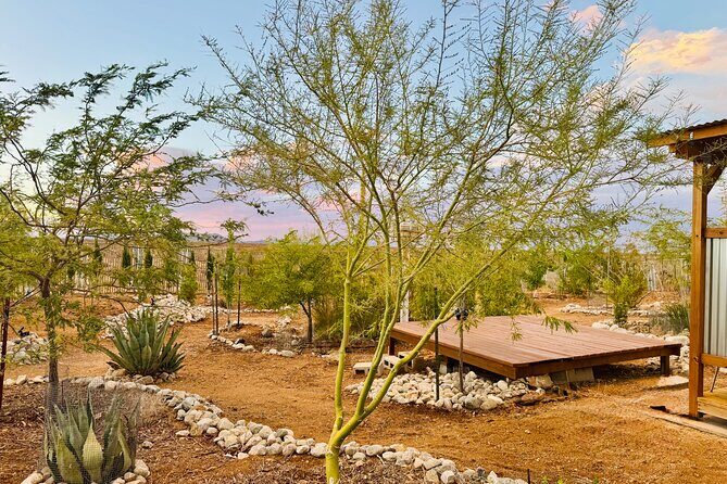 Soul Reconnection Retreat in Joshua Tree - What Travelers Say About Similar Experiences