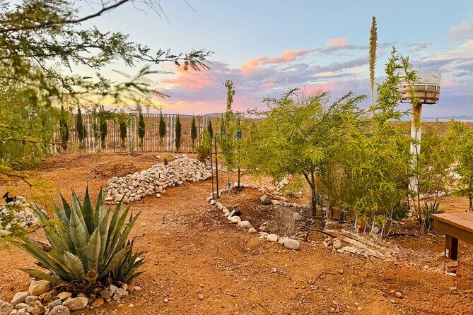 Soul Reconnection Retreat in Joshua Tree - The Sum Up: Is It Worth It?