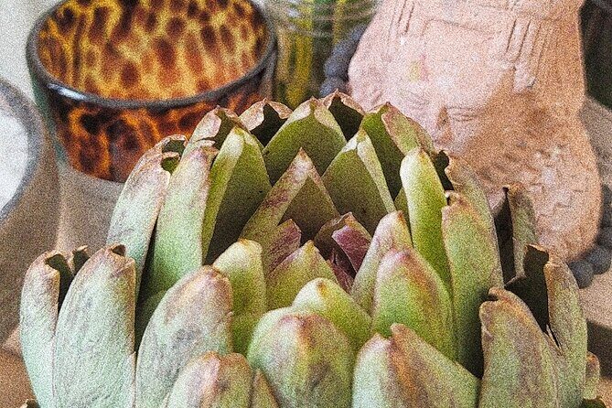 Soul Revitalization: Cacao Ceremony & Sound Healing in Mérida - FAQ