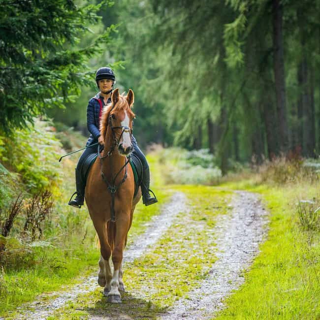 SoulRide: Horseback & Mindful Escape in Kissamos - FAQs