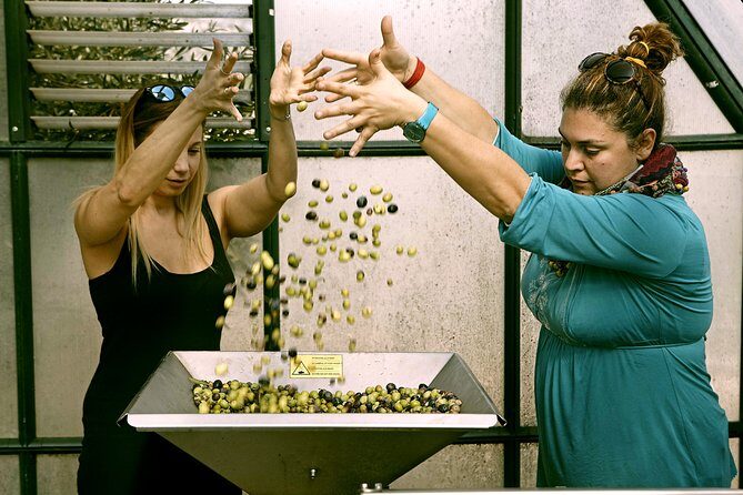 Sounion Highlights: Vouliagmeni, Olive Farm, Poseidon Temple, Thorikos Theatre - FAQ