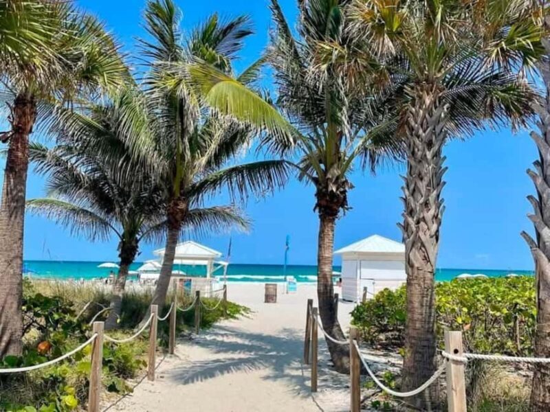 South Beach: French Guided Tour of the Art Deco District (2 hours) - Key Points