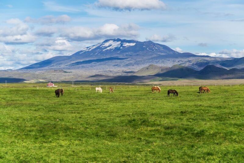 South Coast Classic: Full-Day Tour from Reykjavik - FAQs