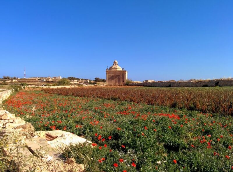 South Coast Private Nature Walking Tour with Transport - FAQ