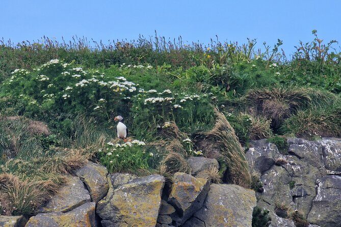 South Coast Private Tour Iceland - Final Thoughts