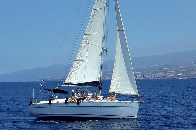 South Coast Tenerife Cruise - Practical Tips for Your Trip