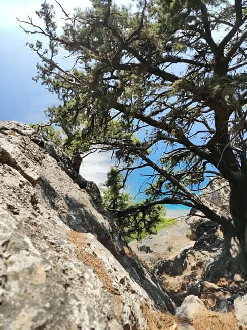 South Crete Tour from Heraklion - Final Thoughts