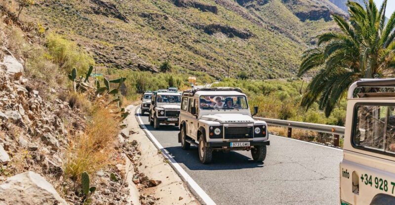 South Gran Canaria: Off-Road Valleys & Villages Jeep Tour - What to Expect from the Tour