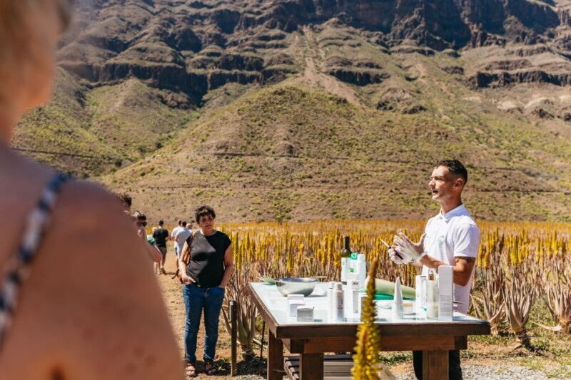 South Gran Canaria: Off-Road Valleys & Villages Jeep Tour - Final Thoughts