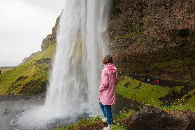 South Iceland, Glacier and Black Sand Beach Small Group Tour - Key Points: