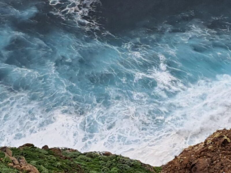 South Madeira:, day tour, breathtaking mountain+coastal trip - Why we think this tour is worth considering