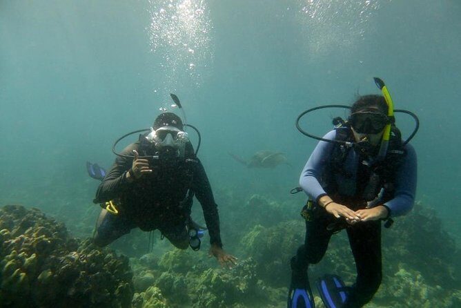 South Maui Discover Scuba Dive - What to Expect from the Tour