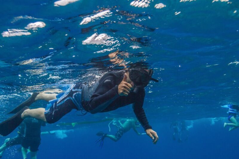 South Maui: Lanai Snorkel & Dolphin Watch from Maalaea - Who Should Consider This Tour?