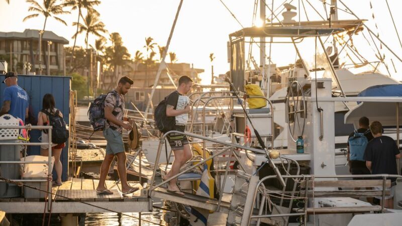 South Maui: Molokini & Turtle Town Snorkeling Tour with Meal - Key Points