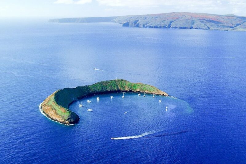 South Maui: Molokini & Turtle Town Snorkeling Tour with Meal - About the Price & Value