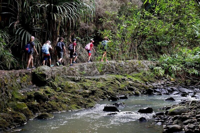 South Maui: Waterfall Tour w/ Kayak, Snorkel, and Hike - The Itinerary: What to Expect on the Day