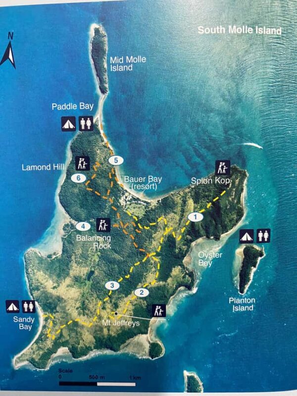 South Molle Island Self Guided Walking Tour - Pricing and Value