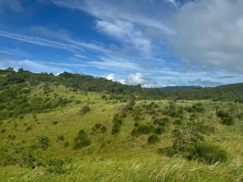 South Molle Island Self Guided Walking Tour - Practical Tips for Your Trip