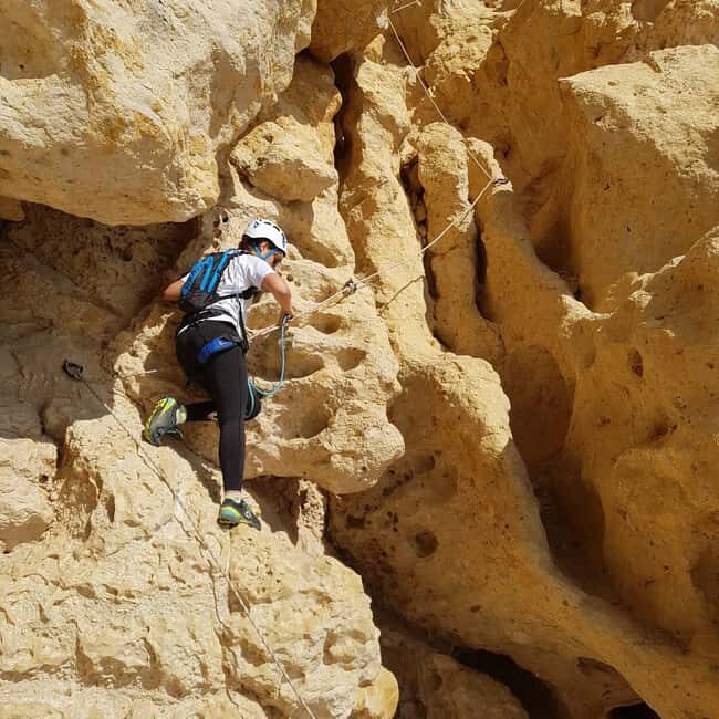 South of France: 4-Hour Philemon Crossing Adventure Course - What to Expect from the Philemon Crossing Adventure Course