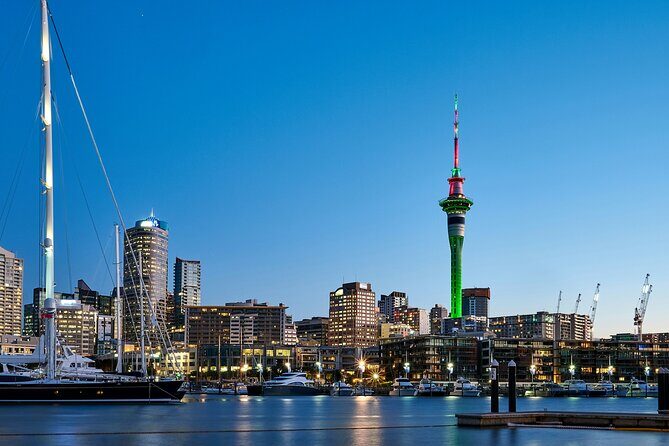 South of the City Half Day Auckland Tour with Luxury Transport - The Practical Details