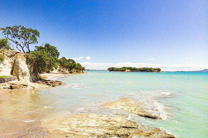 South of the City Half Day Auckland Tour with Luxury Transport - Final Thoughts