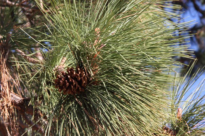 South Okanagan Desert Tour - FAQ