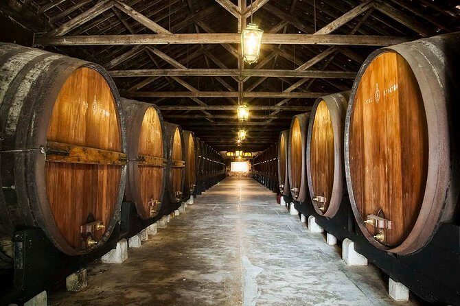 South Portugal Wine Route Private Full Day Tour from Lisbon - Key Points