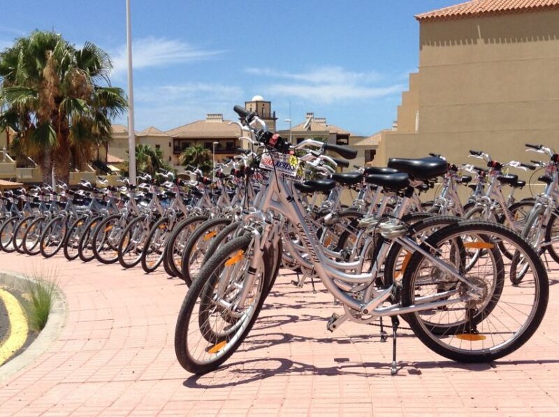 South Tenerife: Bike Rental with Hotel Delivery - What Do the Reviews Say?