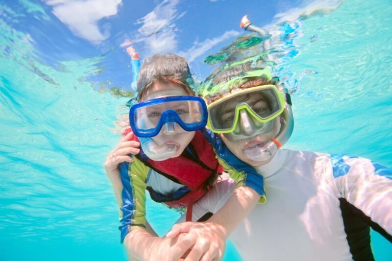 South Tenerife: Guided Snorkeling - The Bottom Line