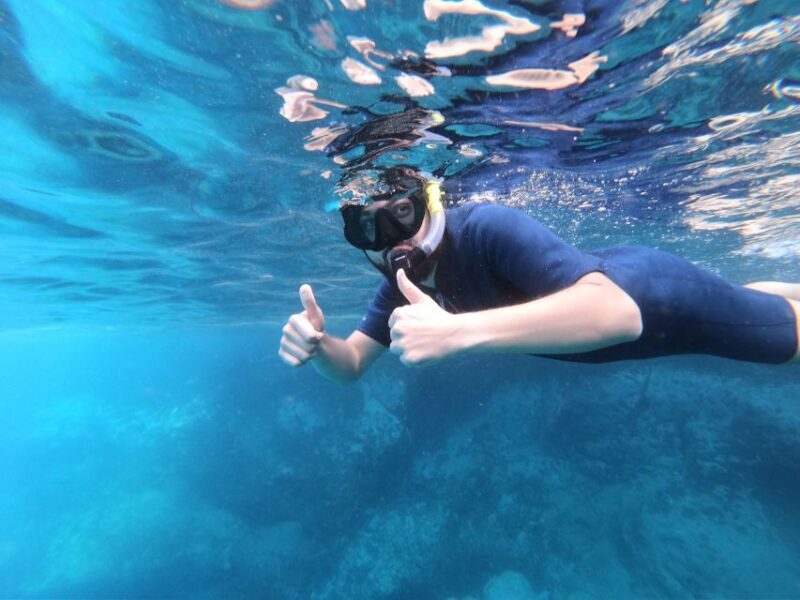 South Tenerife: Guided Snorkeling - FAQ