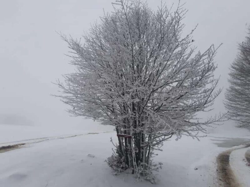 Southern Albania: Përmet Mountain Hike with Panoramic Views - FAQ