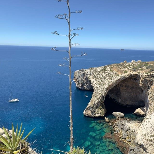 Southern Beauties: Marsaxlokk and Blue Cave TOUR IN PORTUGUESE - Key Points