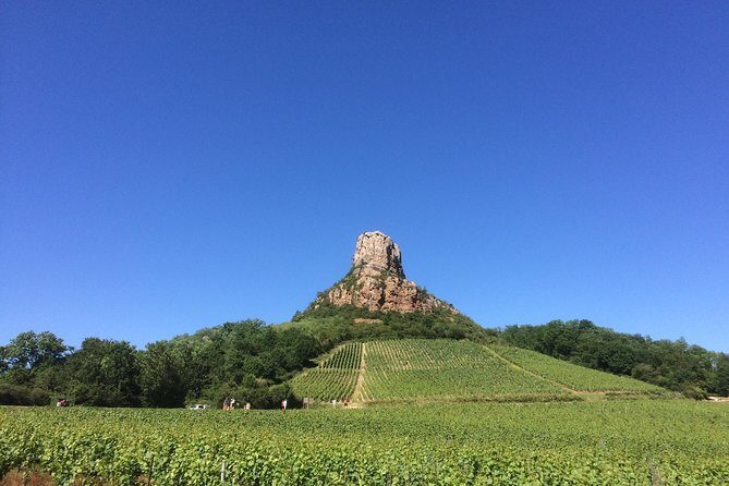 Southern Burgundy Wine Tour - Full Day Shared tour from Lyon - Key Points