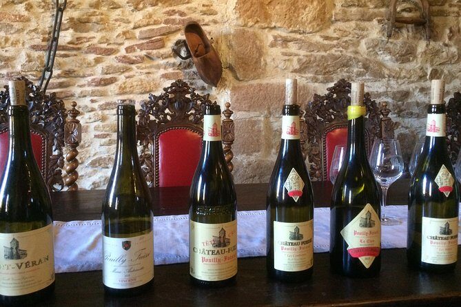 Southern Burgundy Wine Tour - Full Day Shared tour from Lyon - Who Would Love This Tour?