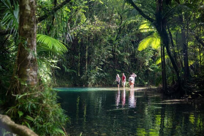 Southern Daintree Explorer Tour - Half Day - Key Points
