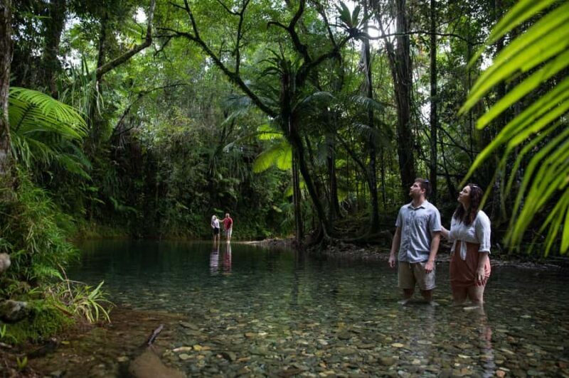 Southern Daintree Explorer Tour - Half Day - Practical Considerations