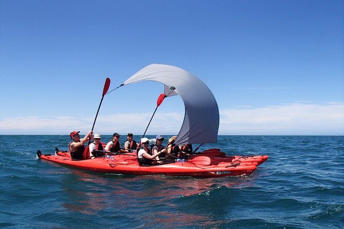 Southern Duo kayak & walk tour - Final thoughts